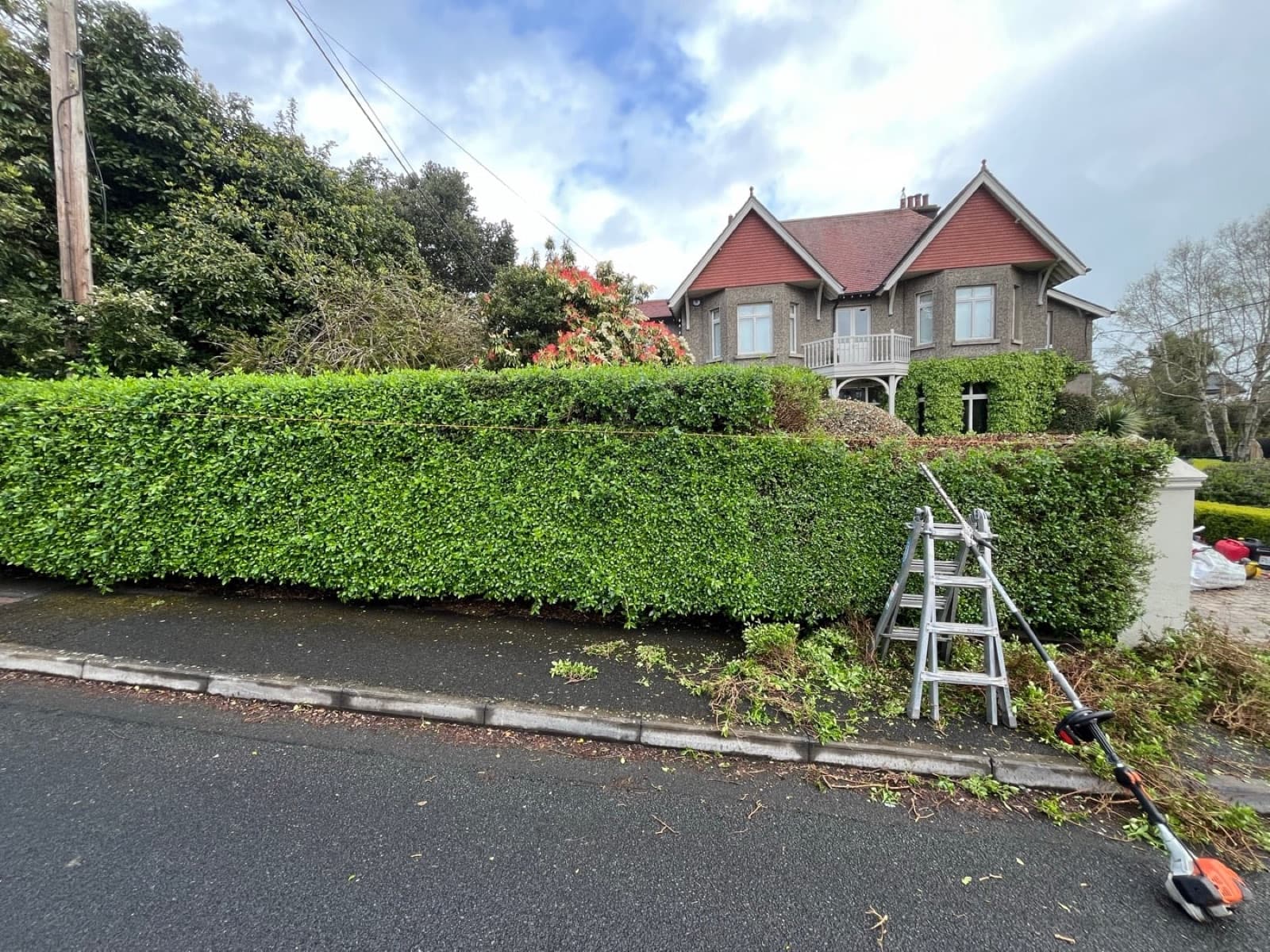 Freshly trimmed roadside hedging along a footpath, Ireland