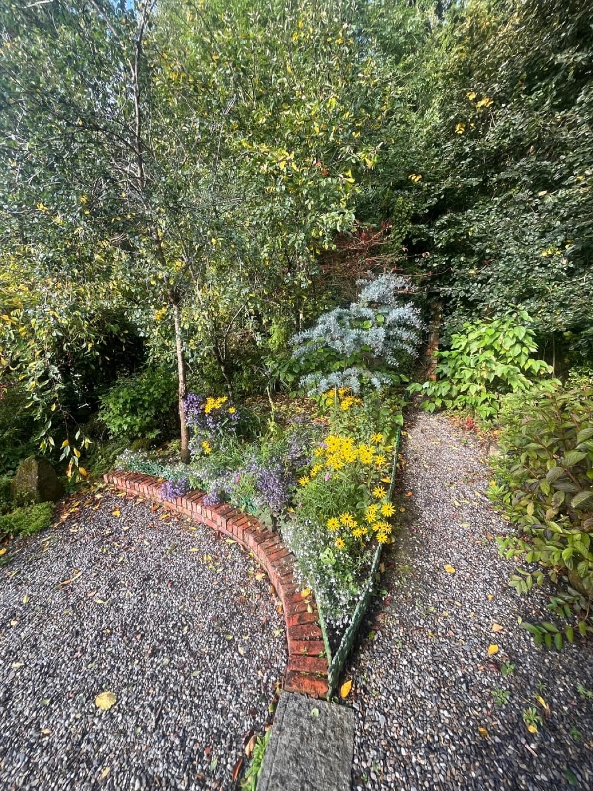 A mixed flower border with brick edging along a gravel path, Ireland