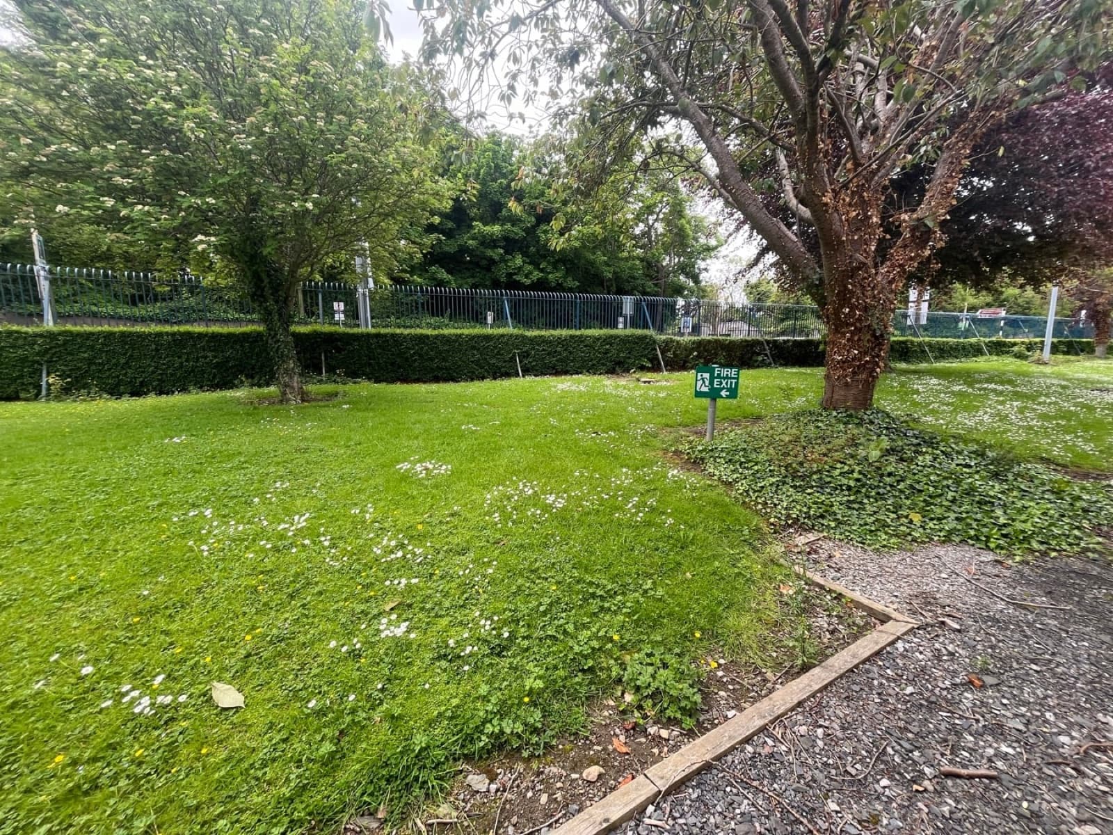 An open lawn framed by trimmed hedging and mature trees, Ireland