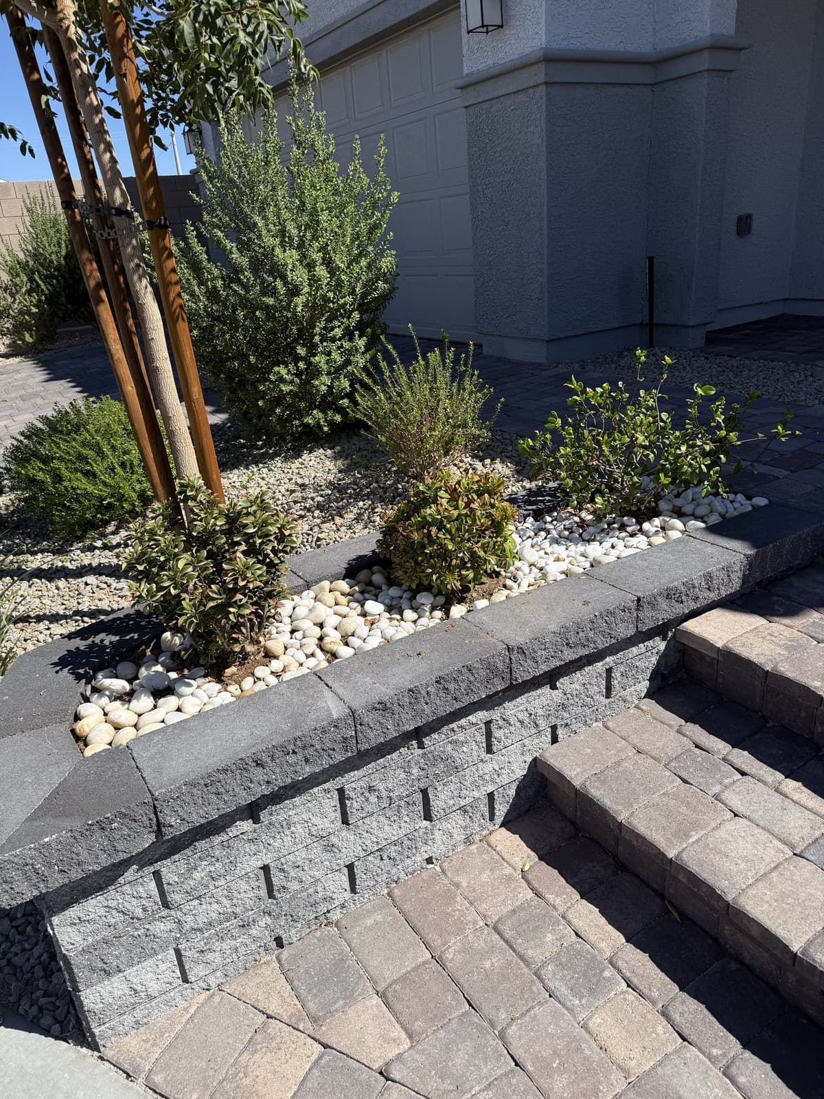 A raised planter freshly planted with desert shrubs and white rock mulch, Las Vegas
