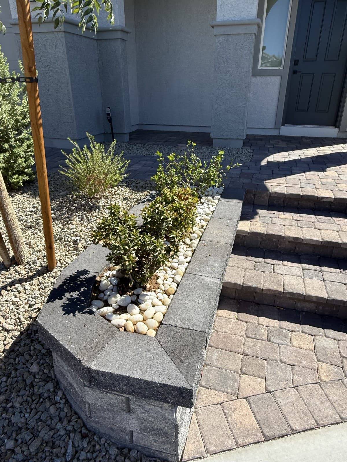 A planting bed of new shrubs and white rock mulch beside the front entry steps, Las Vegas