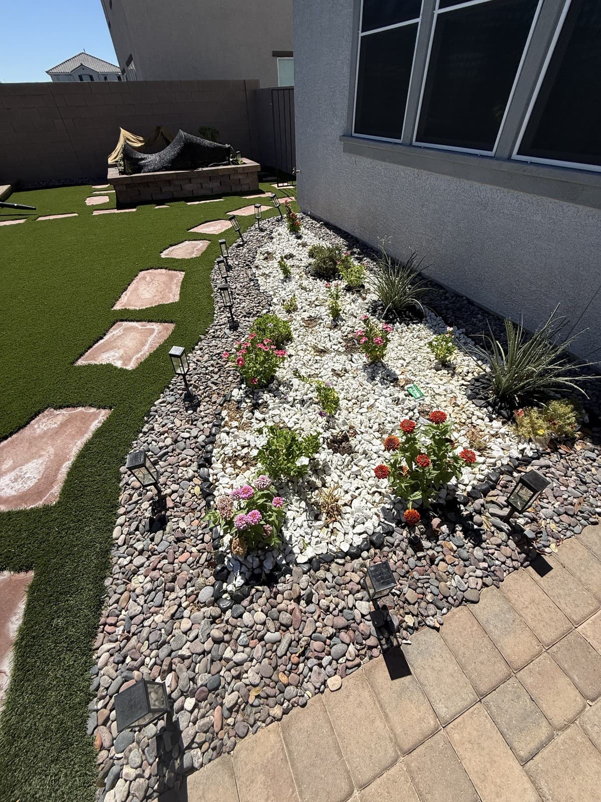 A flowering desert gravel bed freshly planted along the back of the house, Las Vegas